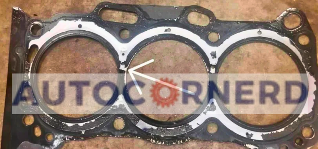 Removed cylinder-head gasket with a damaged area identified between its openings.
