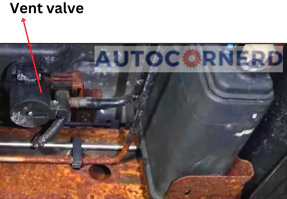 EVAP canister vent valve and attached hose beneath a vehicle.