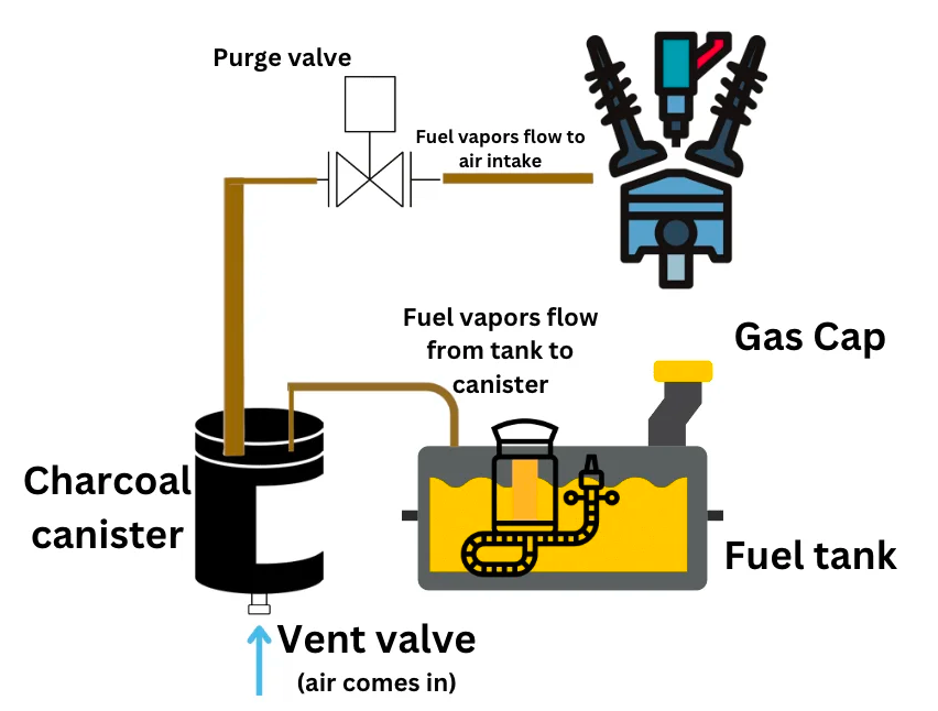 EVAP system diagram identifying the fuel tank, gas cap, canister, purge valve, and vent valve.