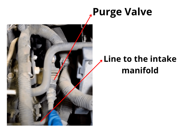 EVAP purge valve and intake-manifold vapor line identified in an engine bay.