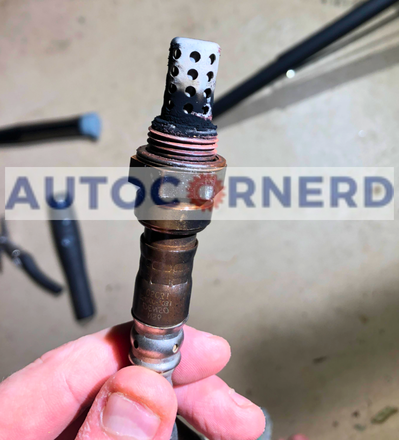 Removed oxygen sensor held by its threaded body with the sensing tip visible.
