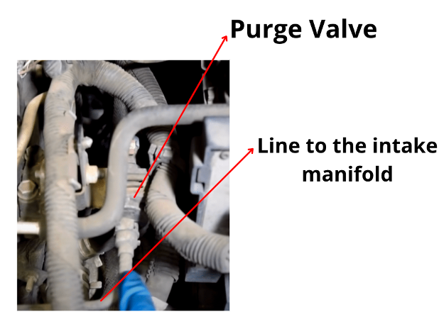 EVAP purge valve in engine