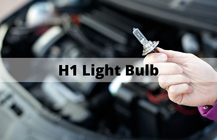 H1 Light Bulb (Useful Buying Tips)