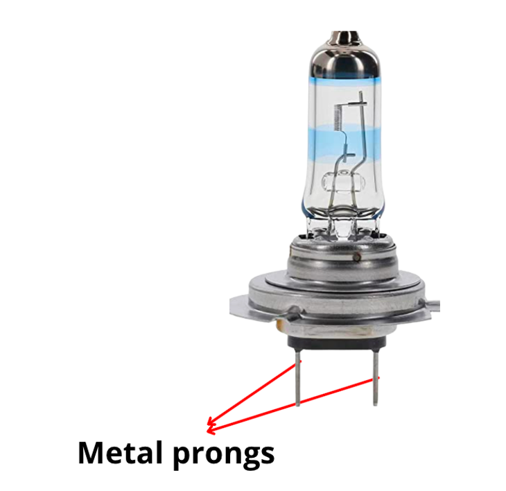 how does h7 bulb look like