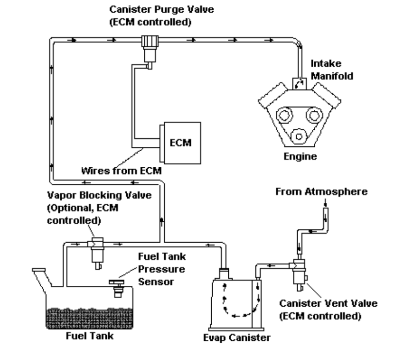 schematic of EVAP system