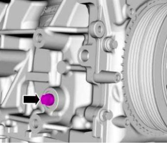 timing peg bolted into the engine to set it at TDC