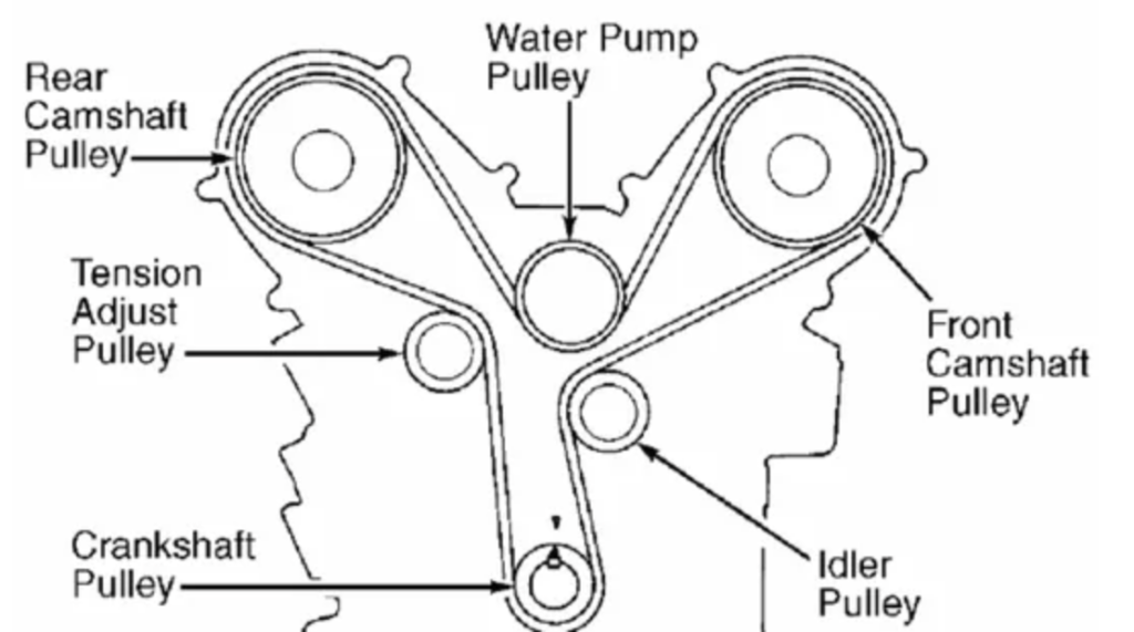 Serpentine belt schematic