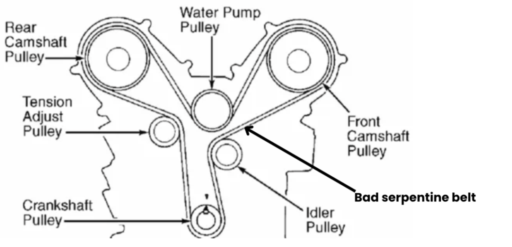 serpentine belt
