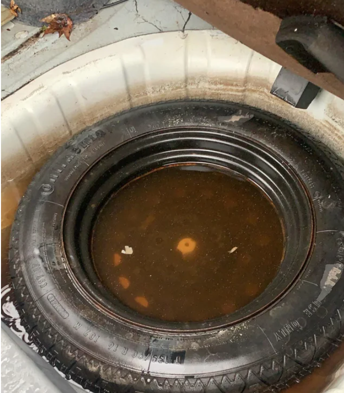 puddle of water in a spare tire well also causes fart-like smell in car