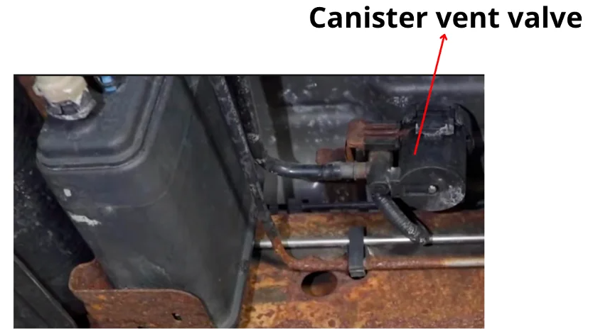 Canister vent valve