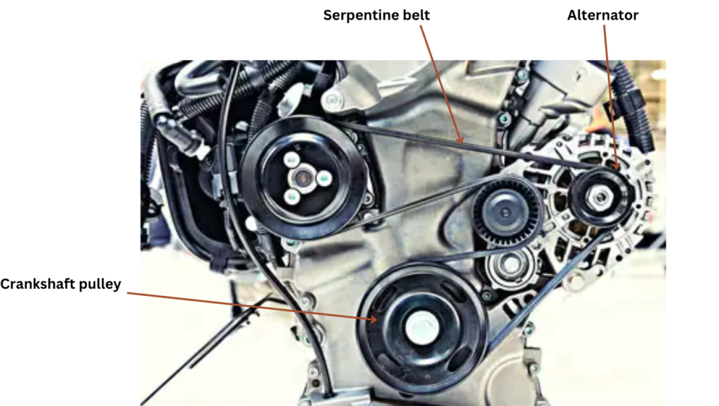 serpentine belt of an engine