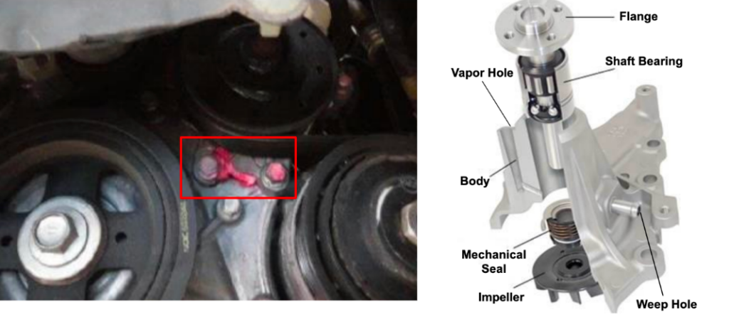 leaks through water pump and schematic of water pump construction