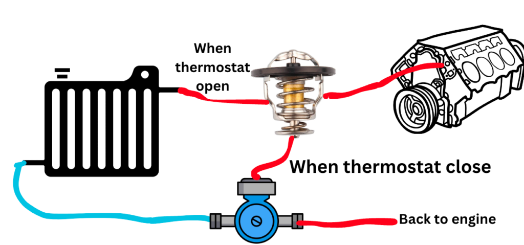 how radiator circulates coolant through the engine
