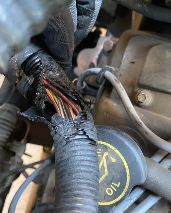 melted and burned engine wiring harness