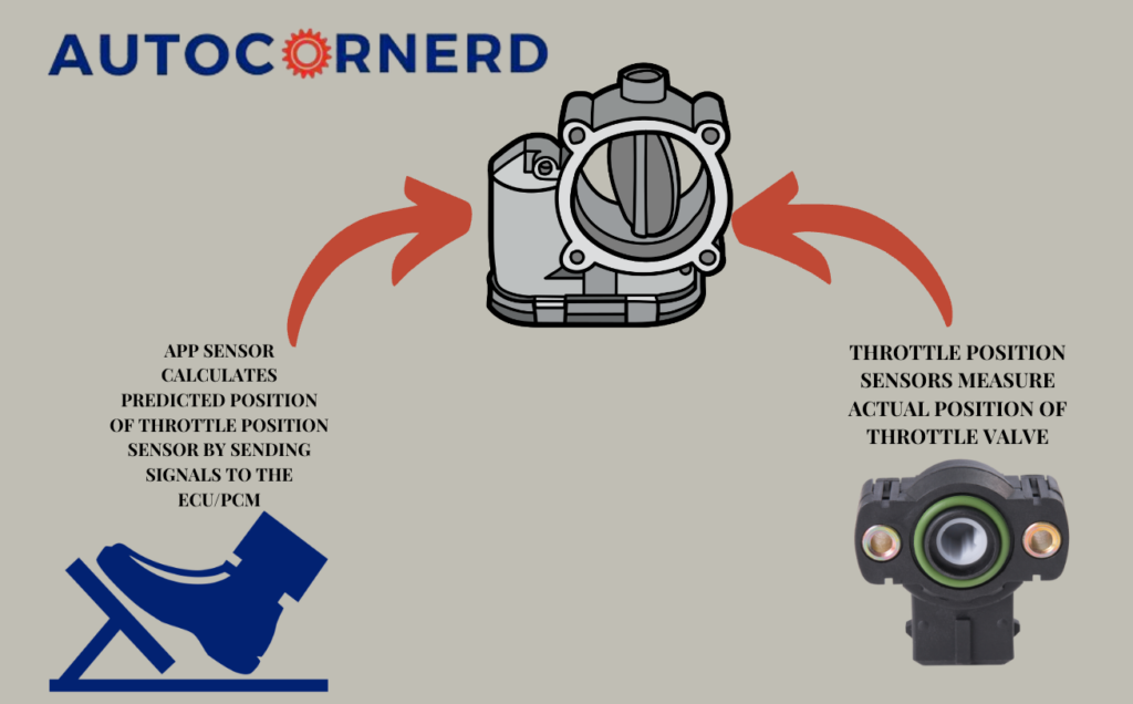 EXPLANATION OF PREDICTED AND ACTUAL THROTTLE POSITION