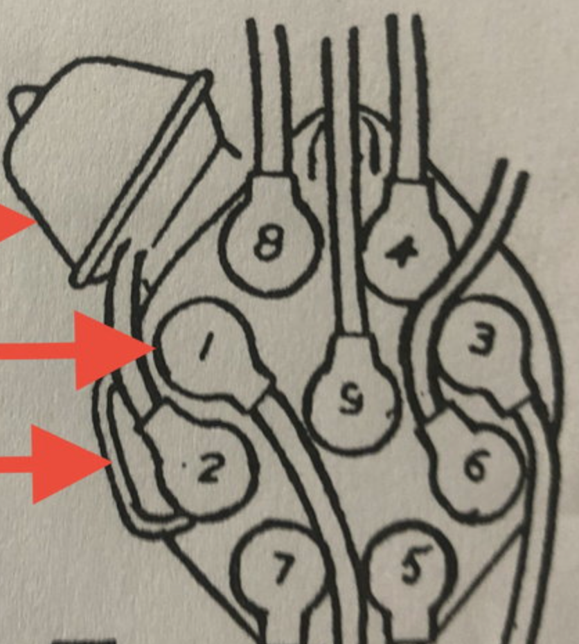 spark plug wires position on distributor