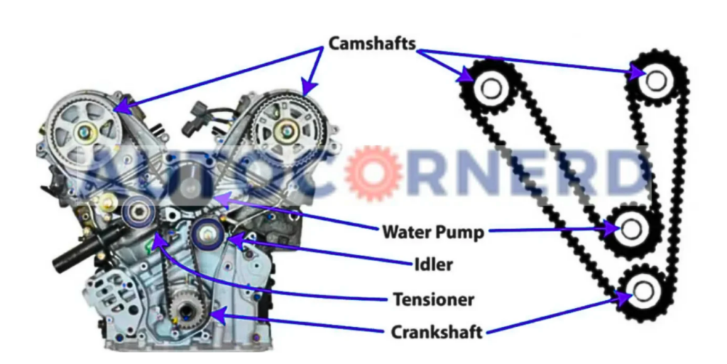 a schematic diagram showing different pulleys over which timing chain passes